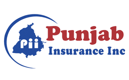 Punjab Insurance Inc. logo